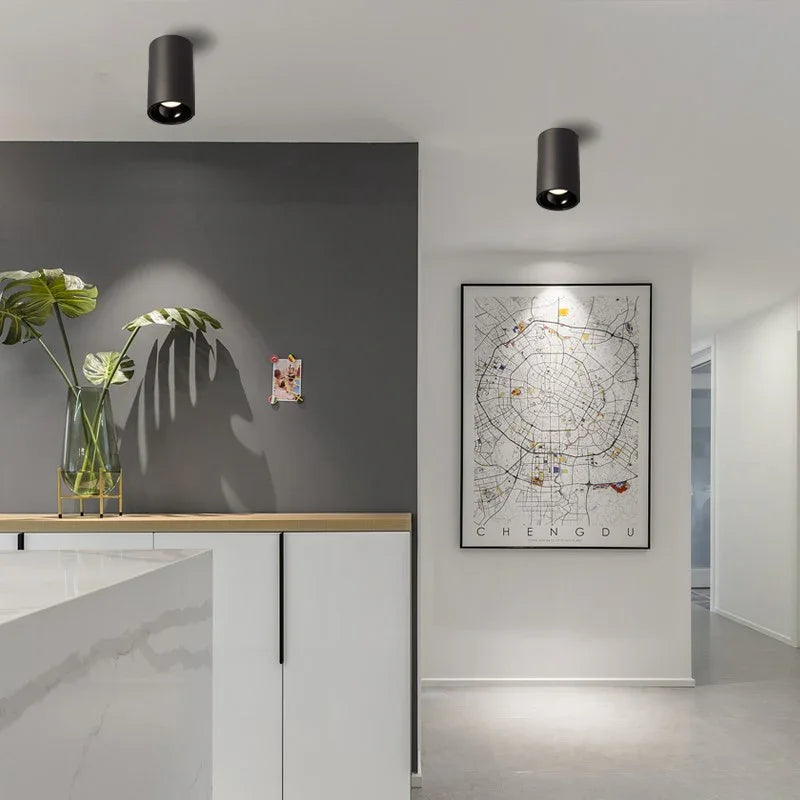 Black & White Cylindrical LED Surface-Mounted Downlight