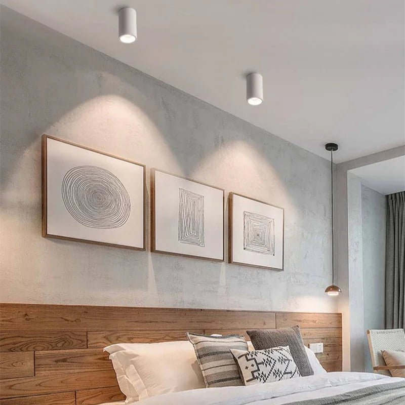 Black & White Cylindrical LED Surface-Mounted Downlight