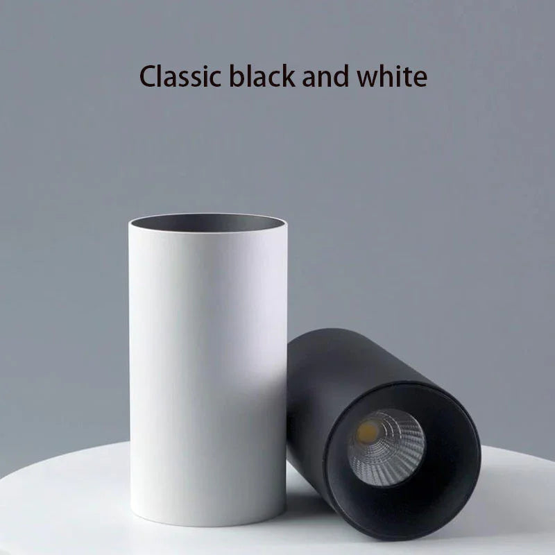 Slim Cylindrical LED Surface-Mounted Downlight