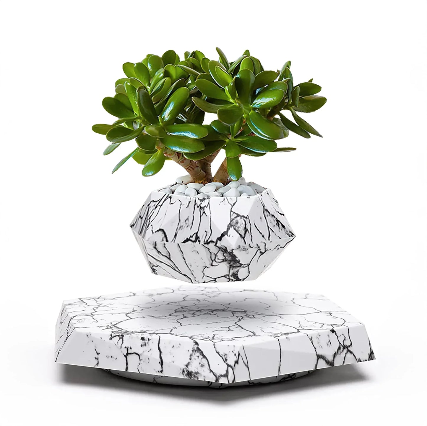 Levitating Magnetic Plant Pot