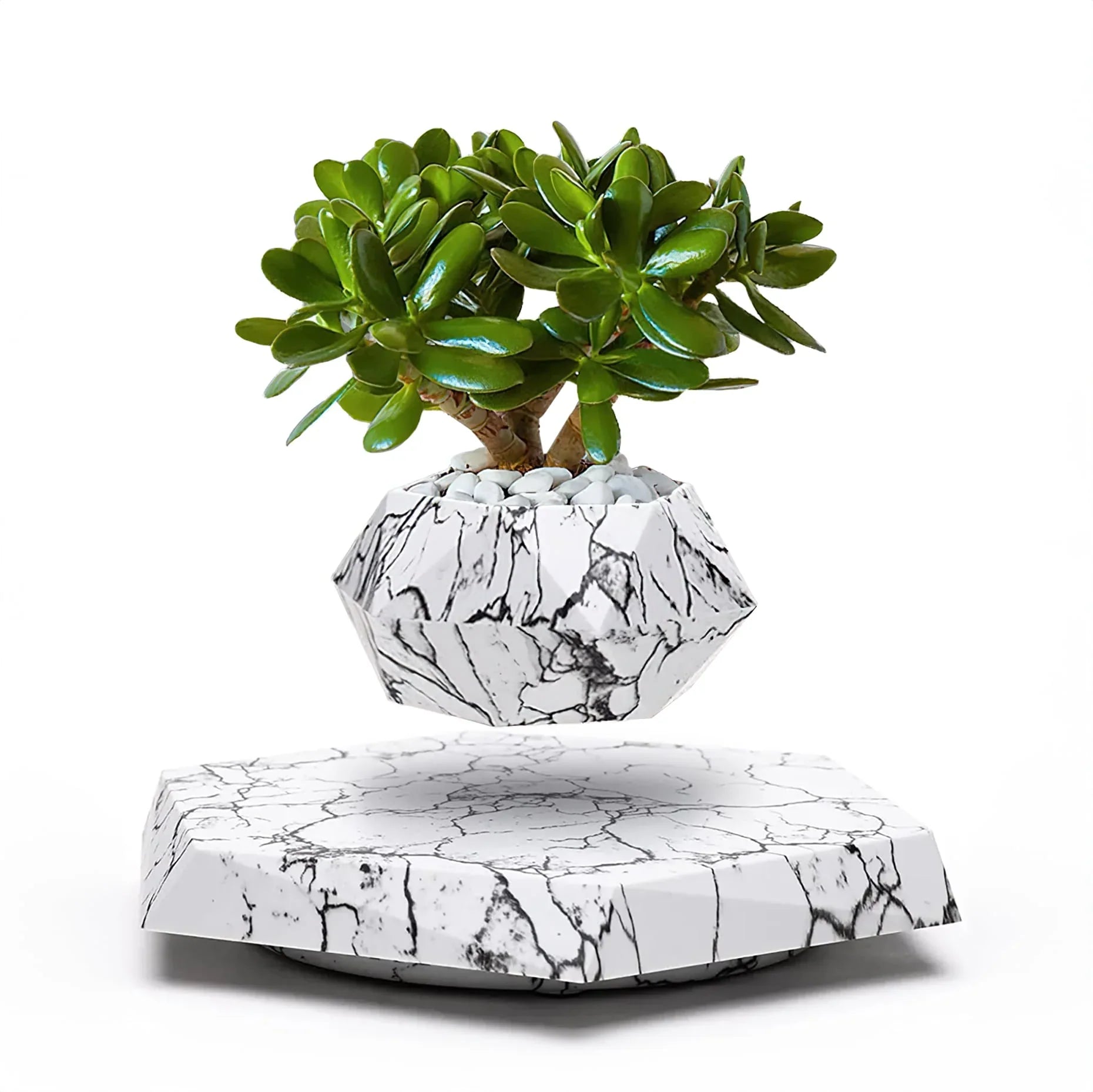 Levitating Magnetic Plant Pot