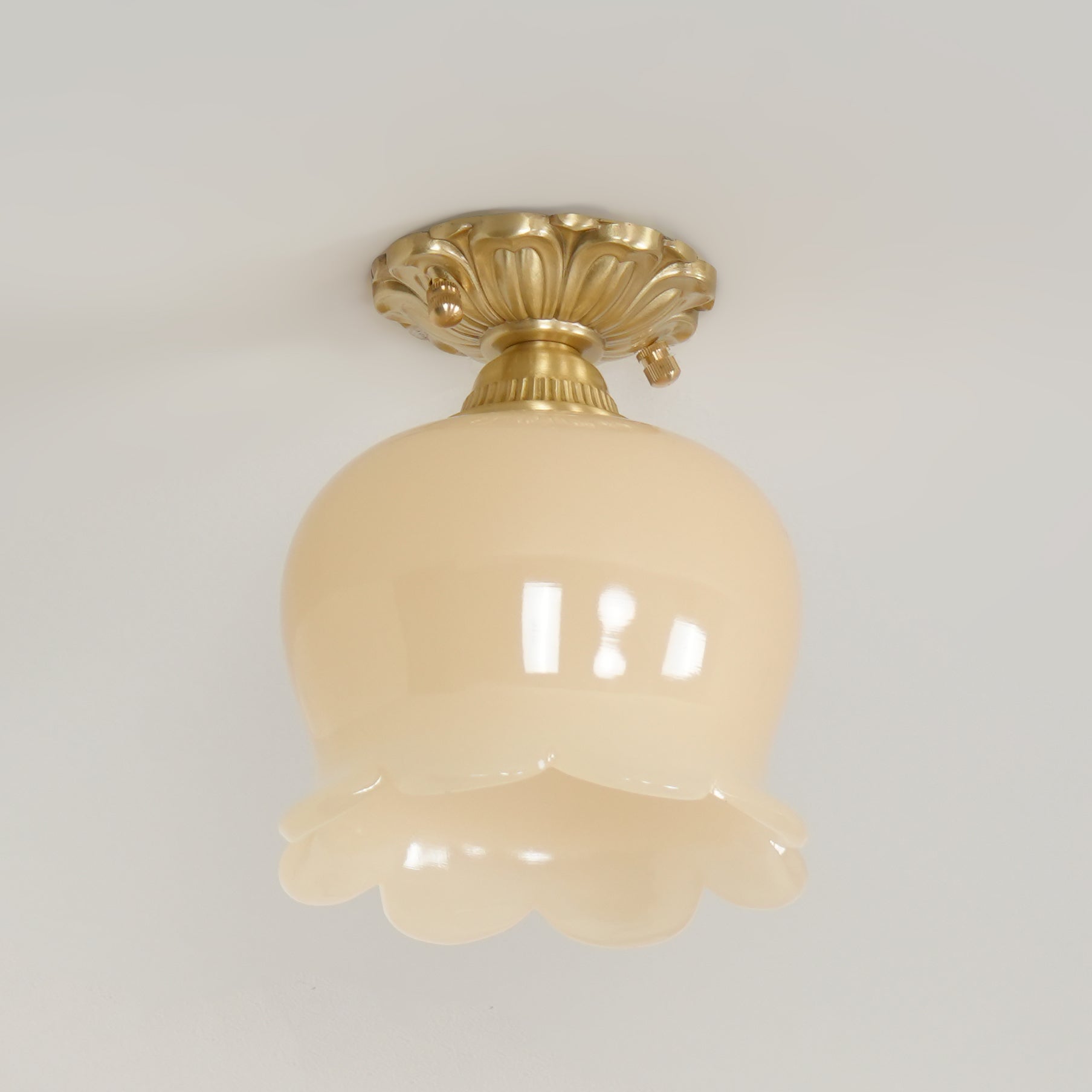 Ceramic Shade Ceiling Light