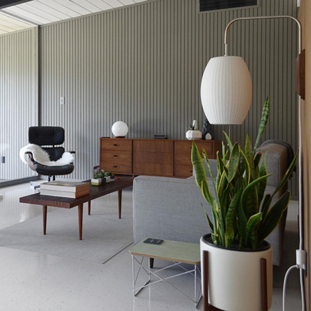 Glass Globe Wall Sconce Light