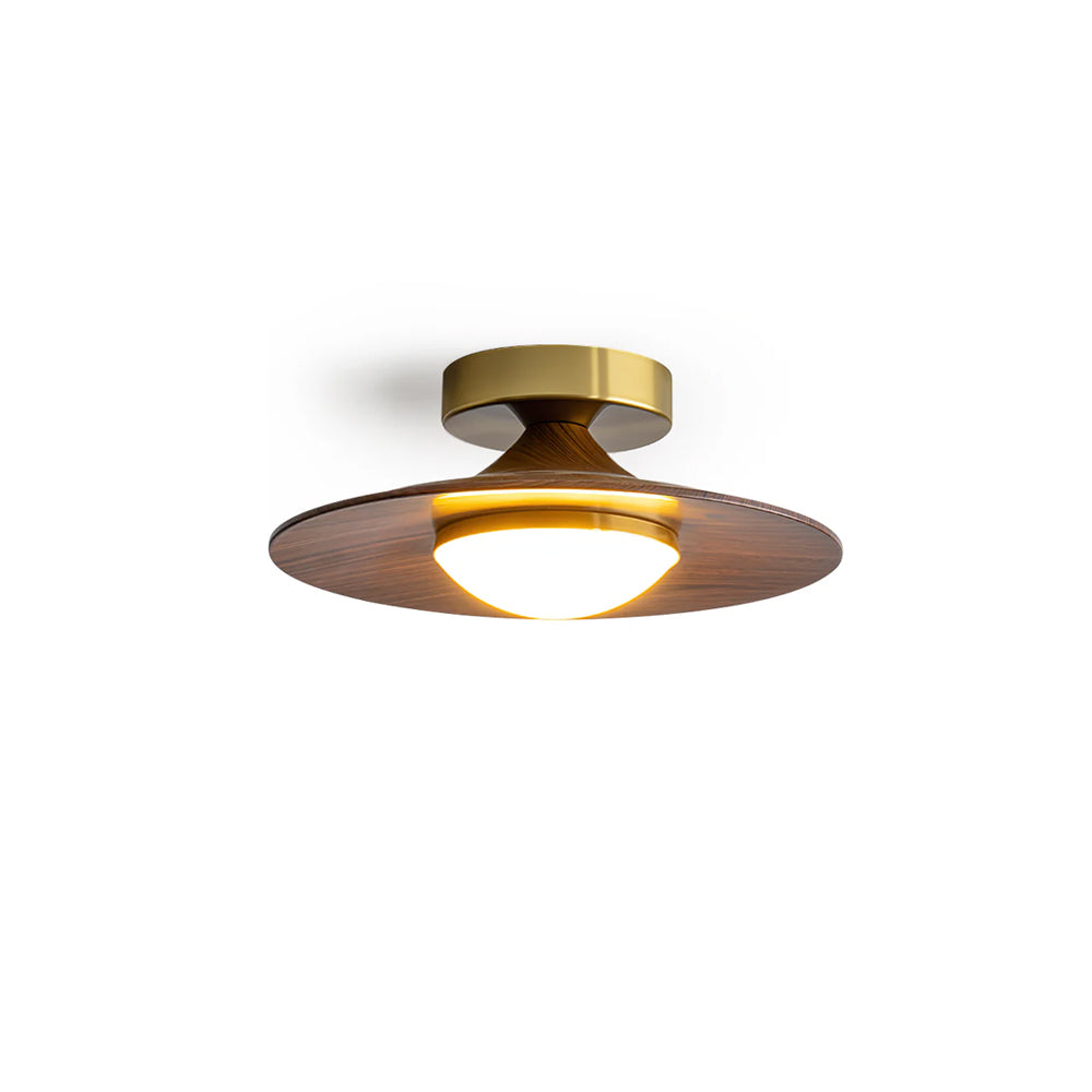 Disc Flush Mount Ceiling Light