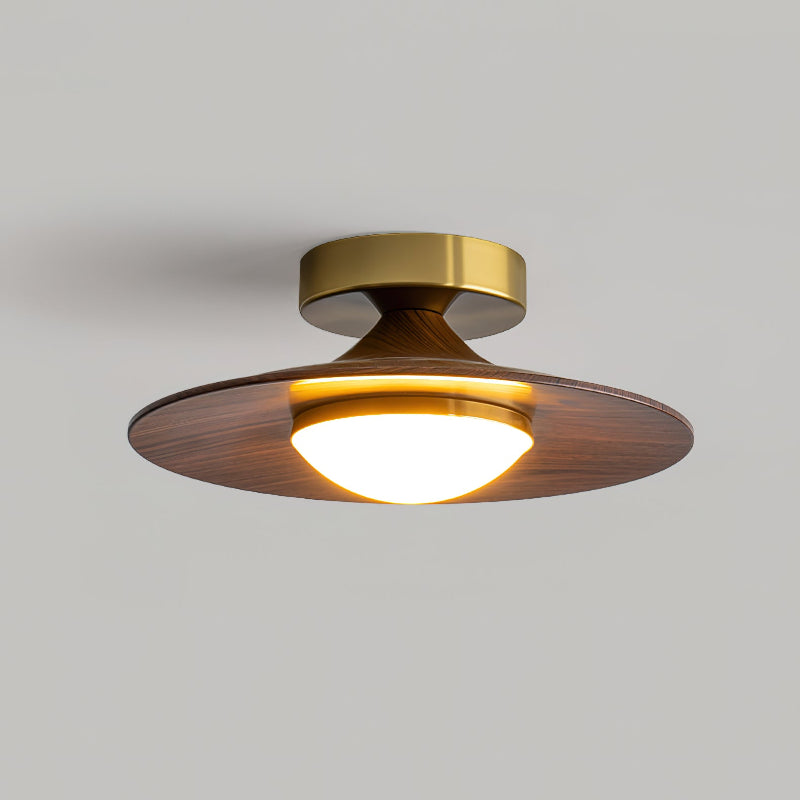 Disc Flush Mount Ceiling Light