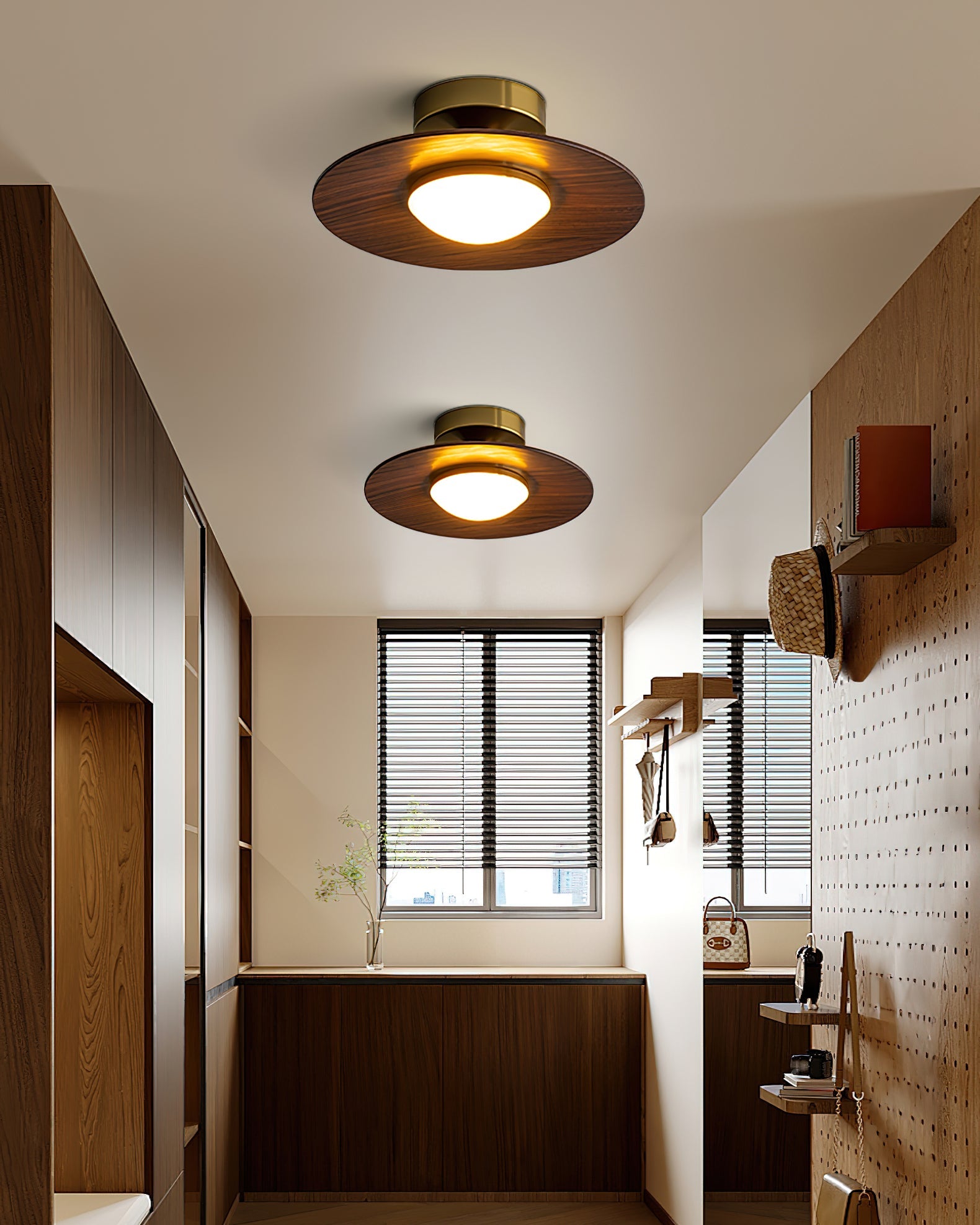 Disc Flush Mount Ceiling Light