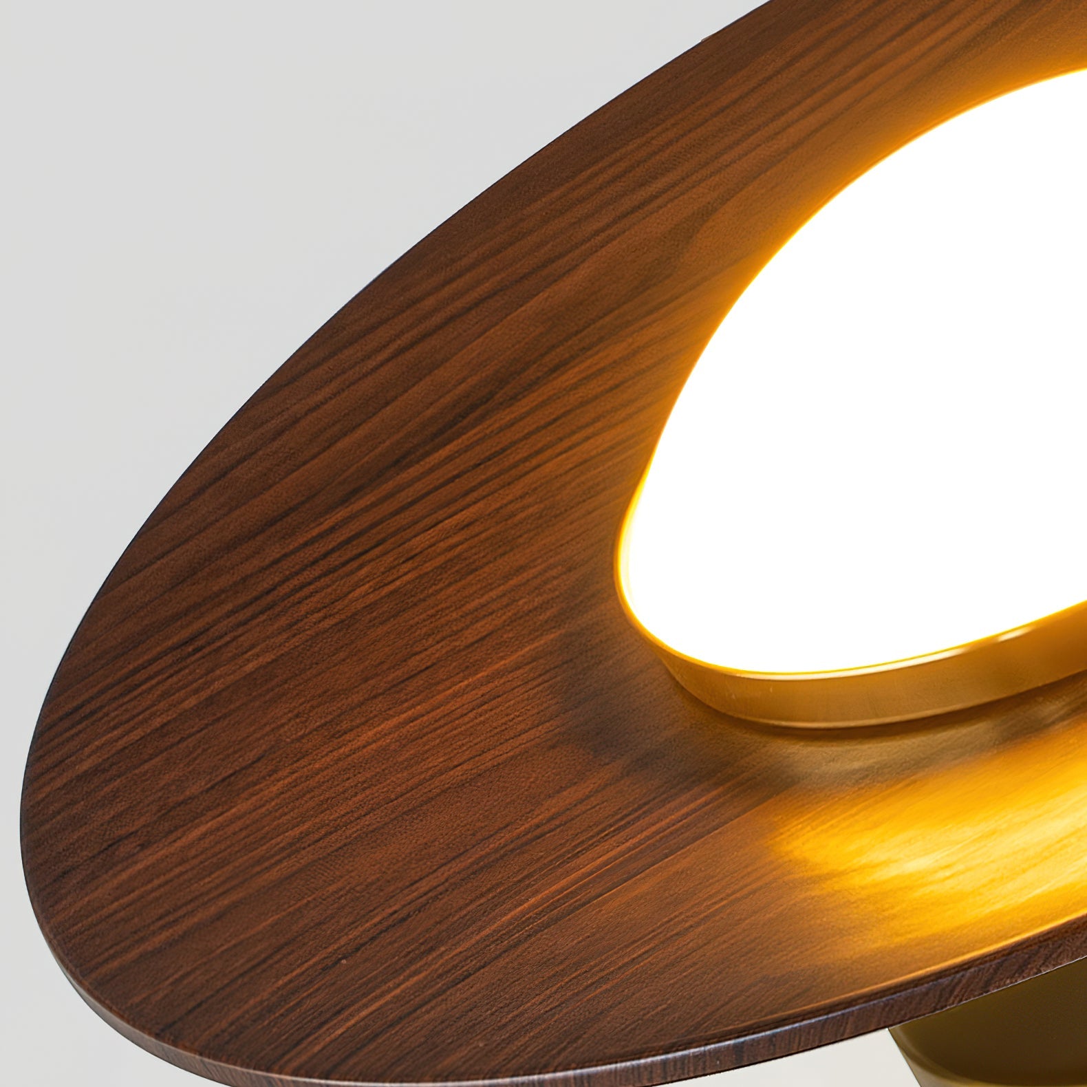 Disc Flush Mount Ceiling Light