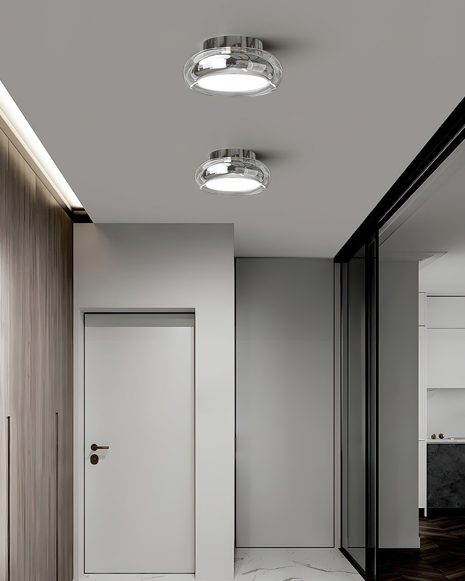Metal Disc Ceiling Light