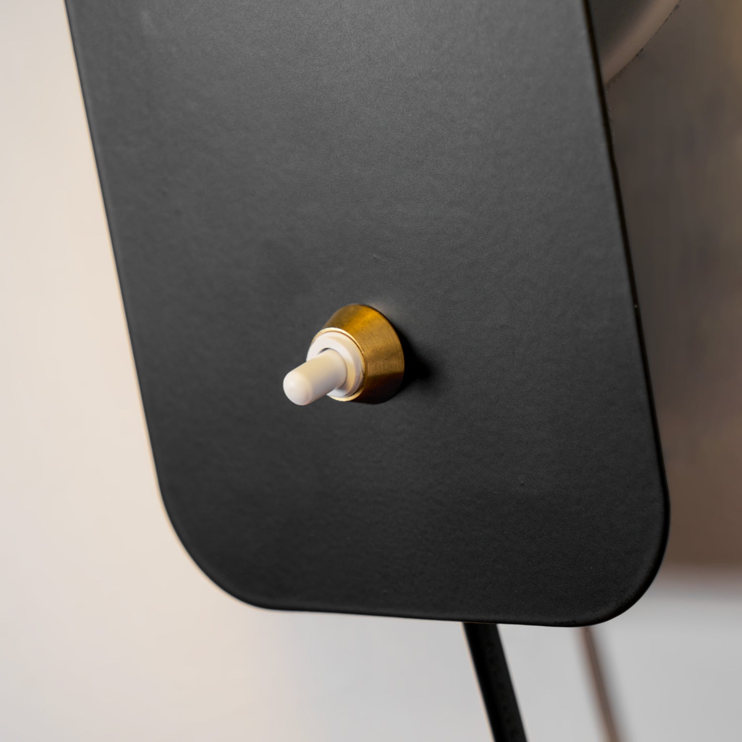 Plug-In Adjustable Cylinder Wall Light