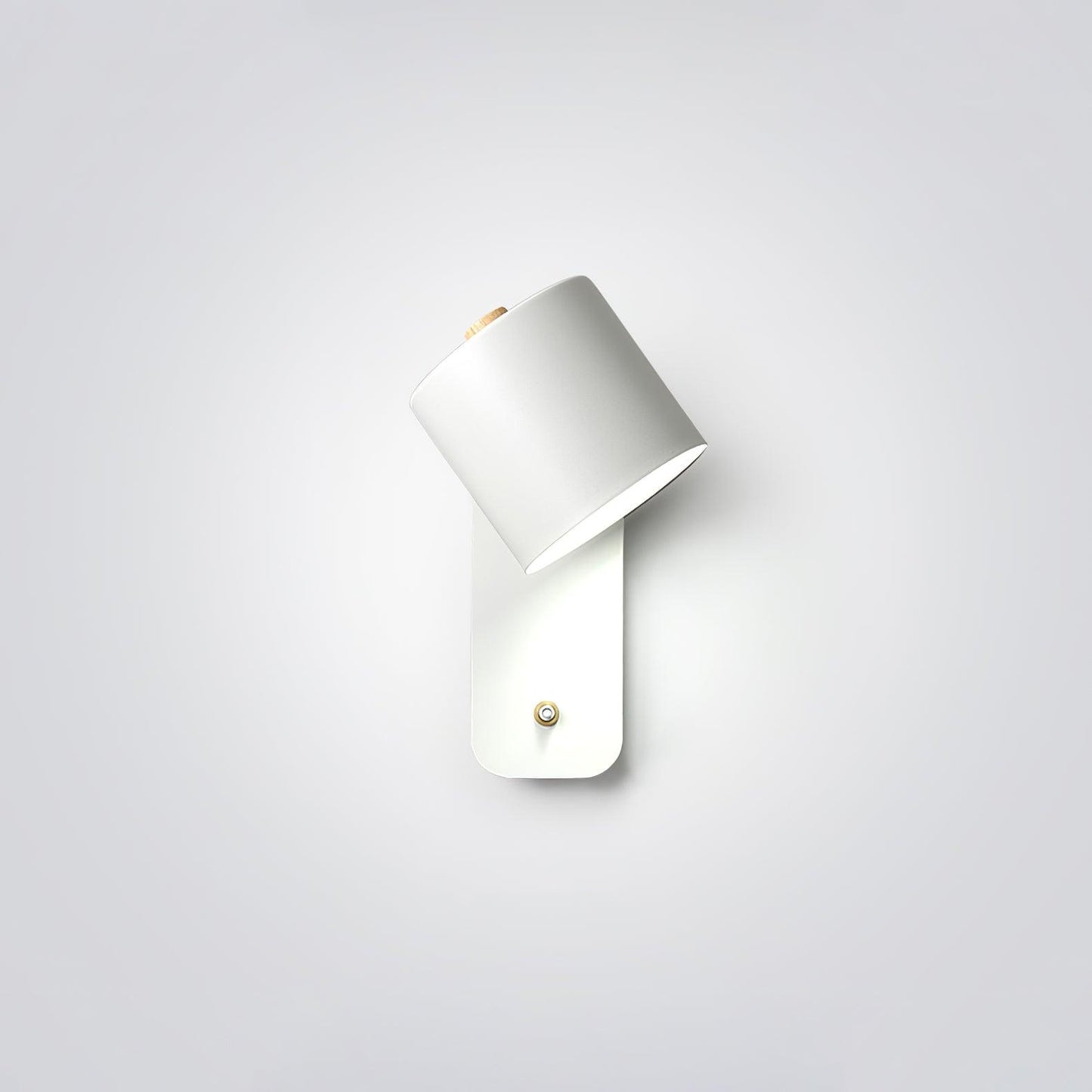Adjustable Cylinder Wall Light