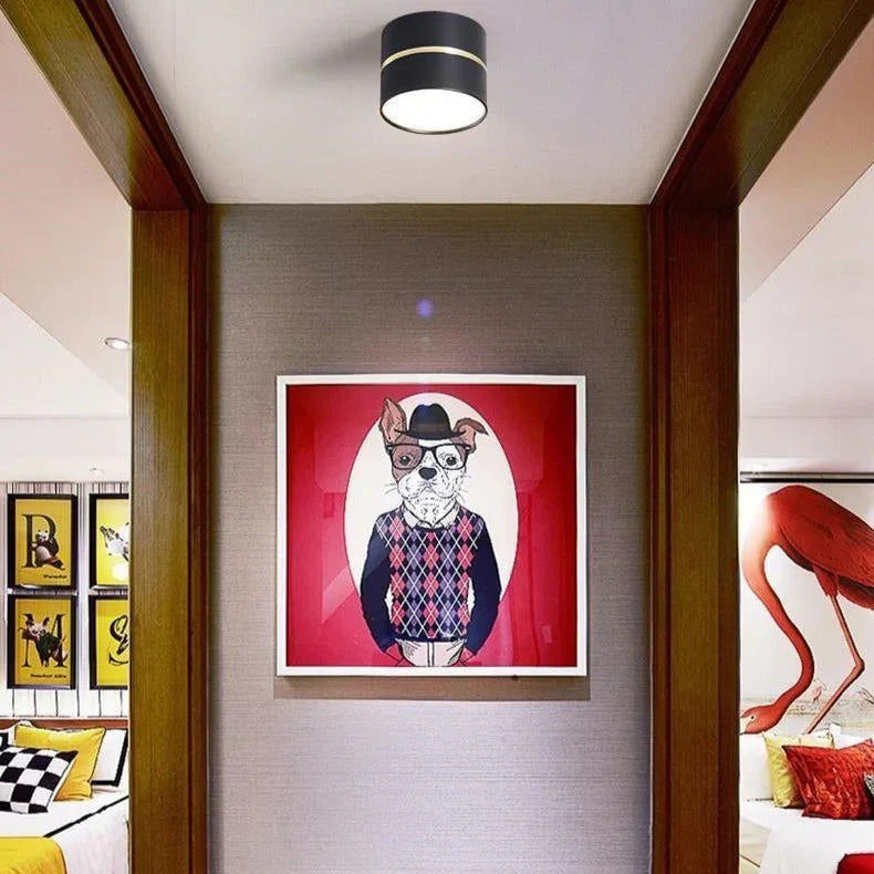 Minimal Dual-Tone LED Surface-Mounted Downlight