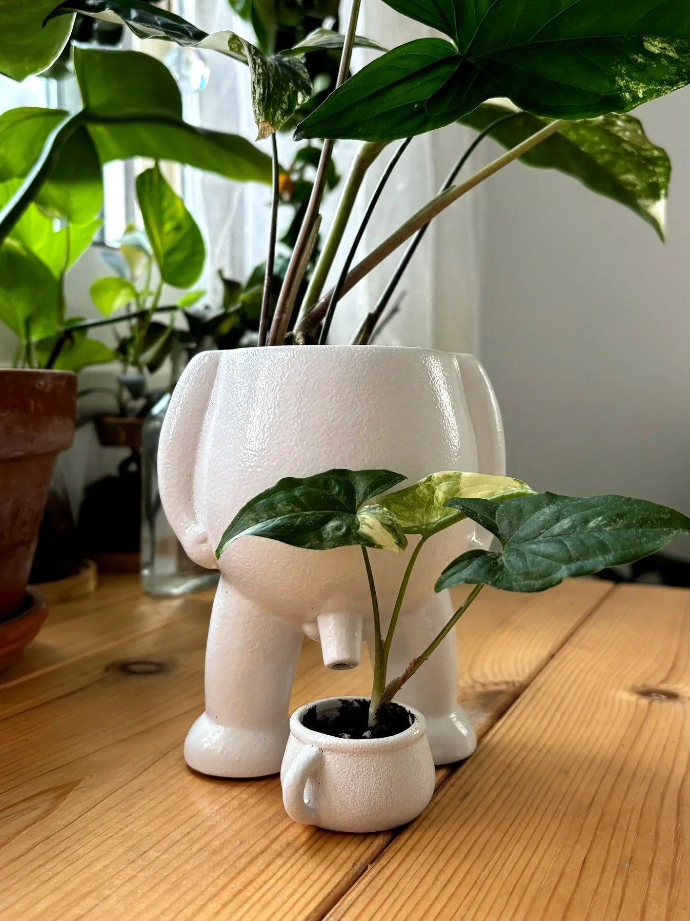 Cheeky Character Novelty Planter