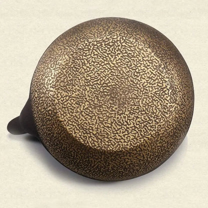 Japanese Cast Iron Teapot Tea Kettle