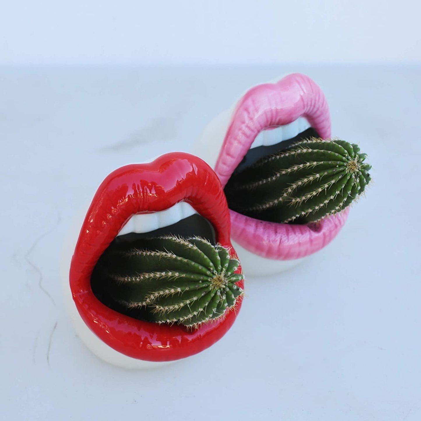 Lip Shape Ceramic Planter Pot