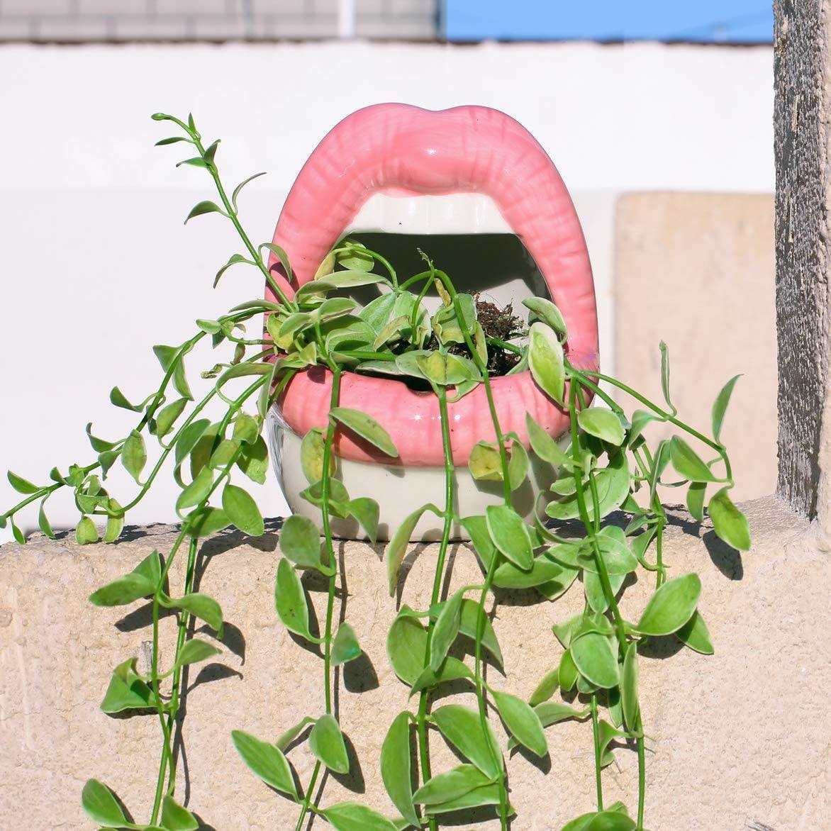Lip Shape Ceramic Planter Pot