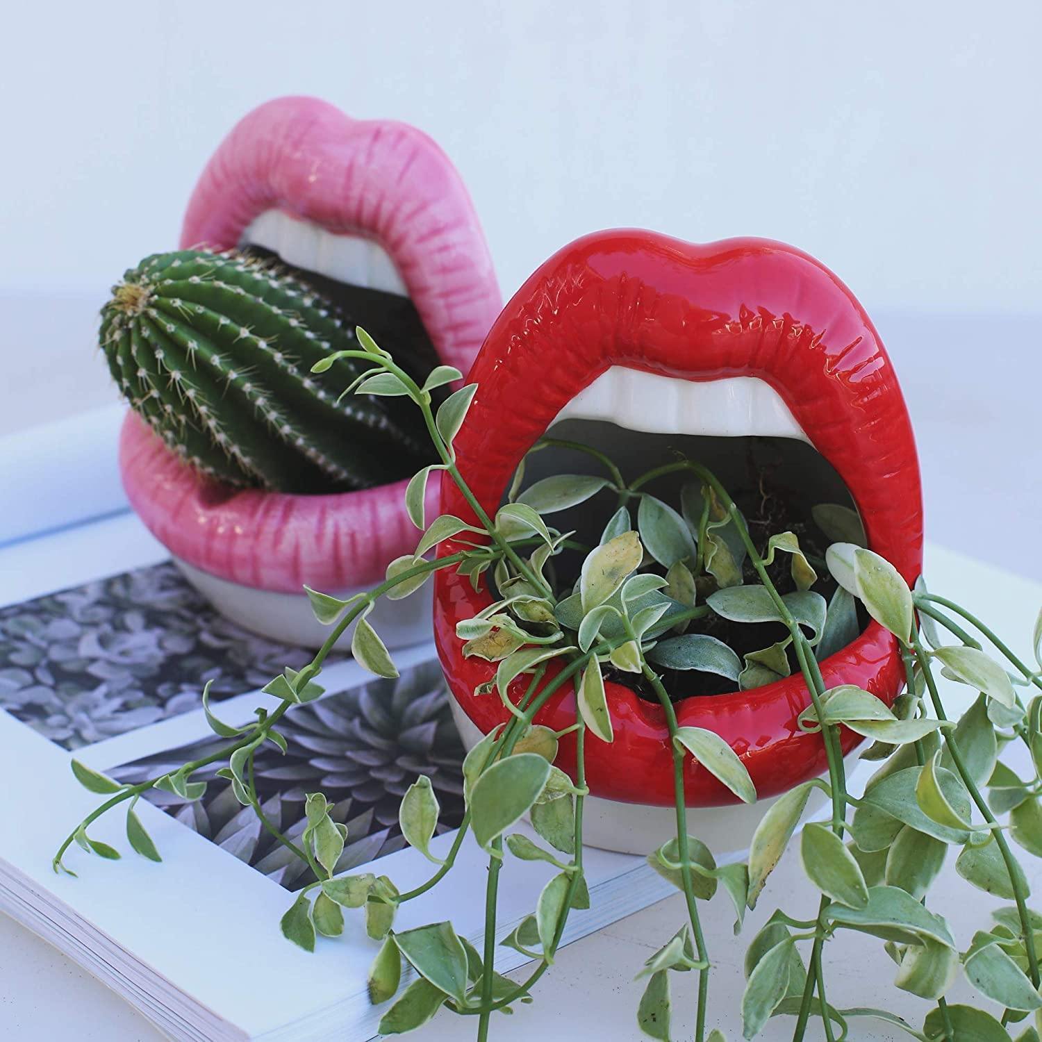 Lip Shape Ceramic Planter Pot