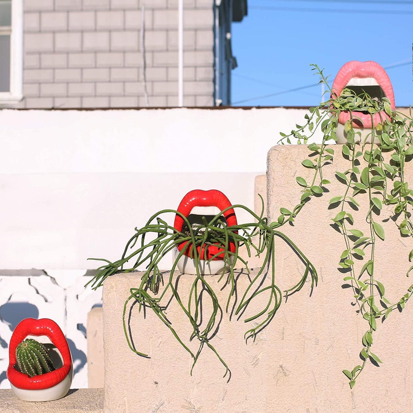 Lip Shape Ceramic Planter Pot