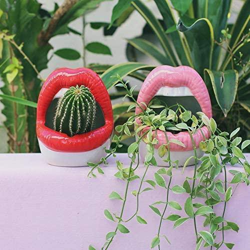 Lip Shape Ceramic Planter Pot