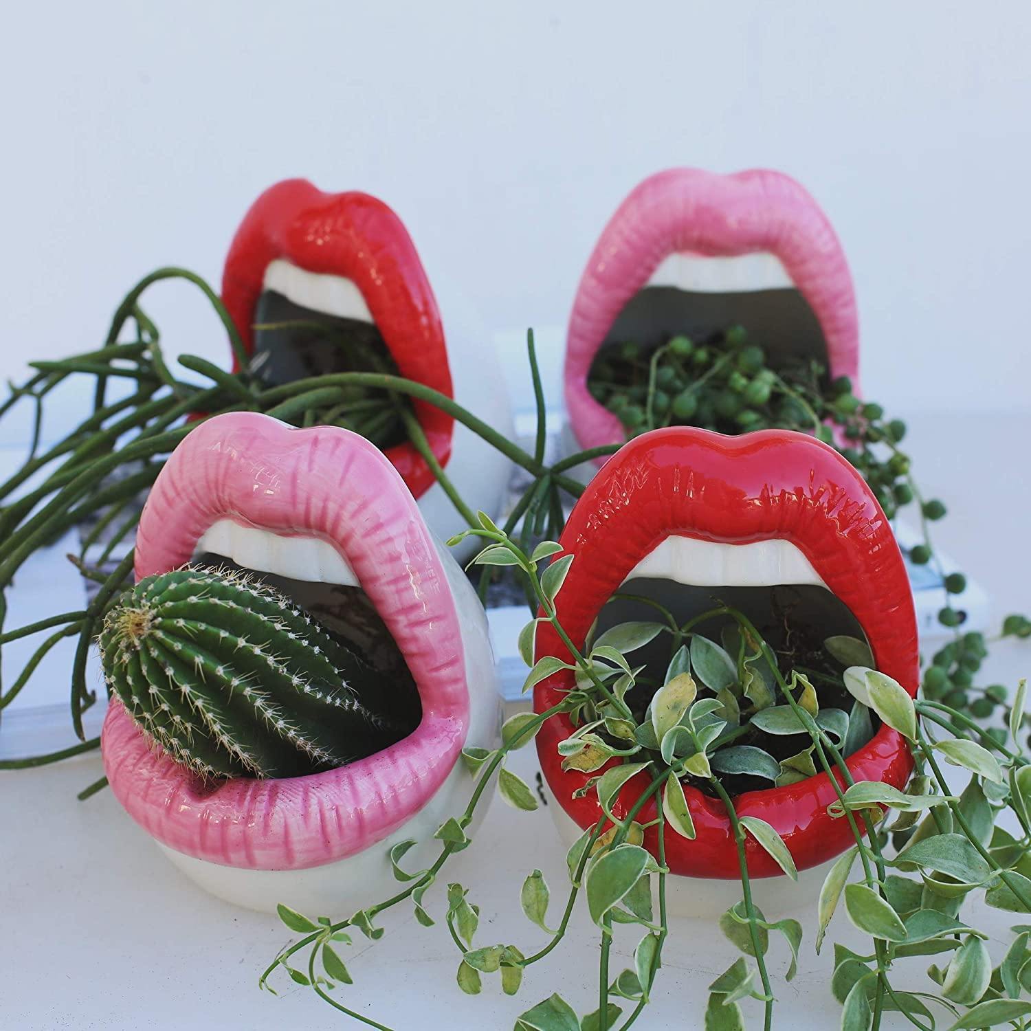 Lip Shape Ceramic Planter Pot