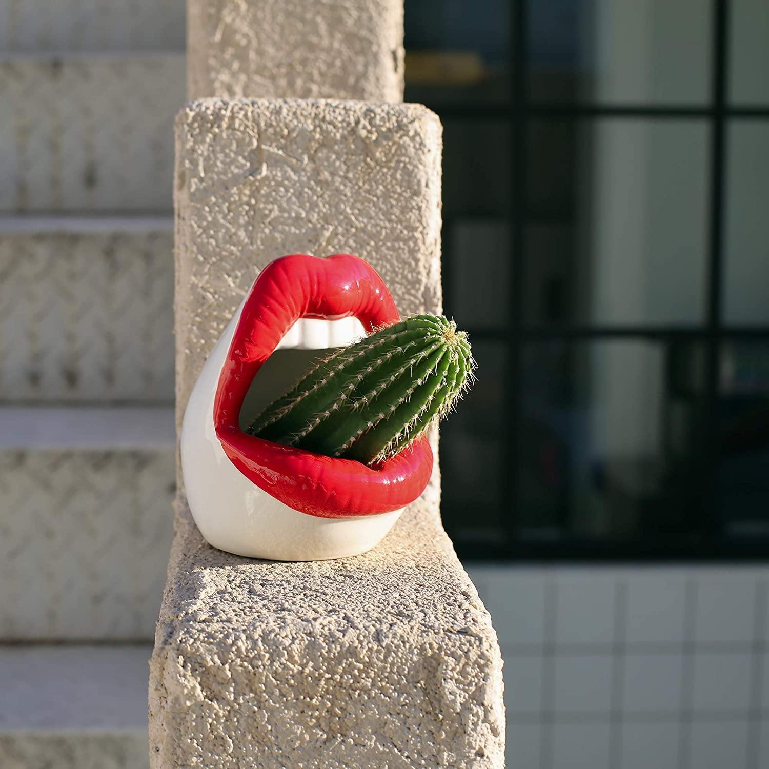 Lip Shape Ceramic Planter Pot