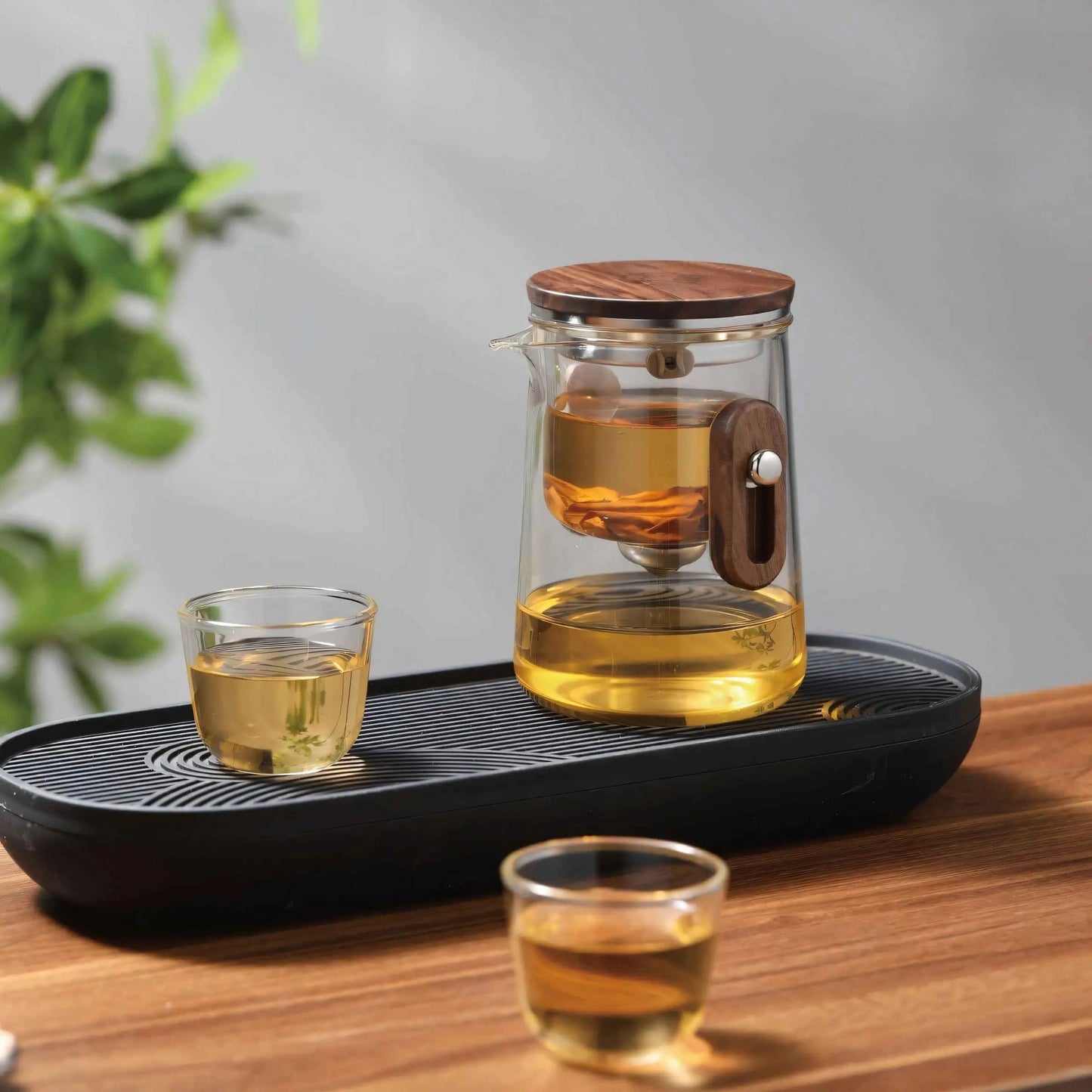 Travel Glass Tea Brewing Set
