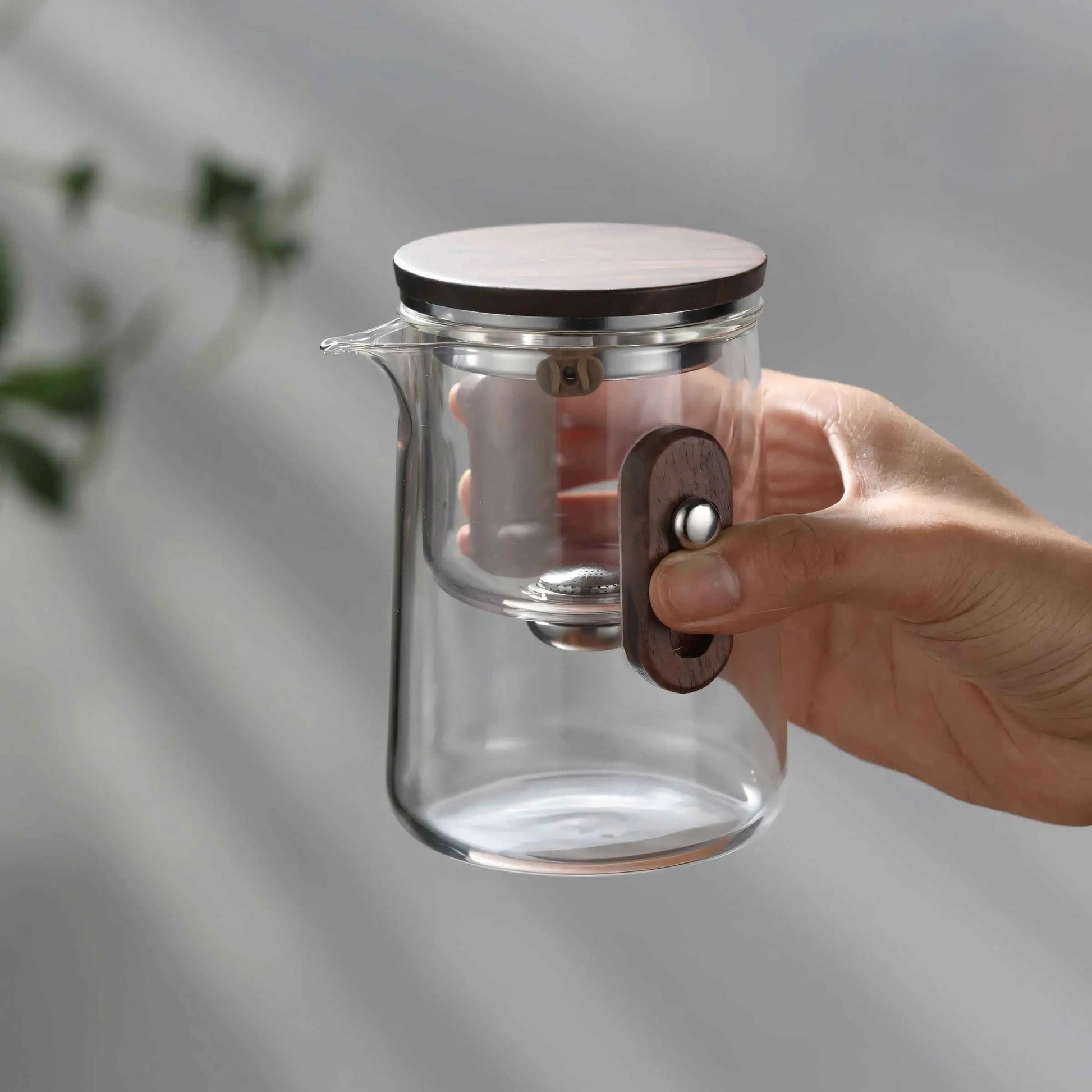 Travel Glass Tea Brewing Set