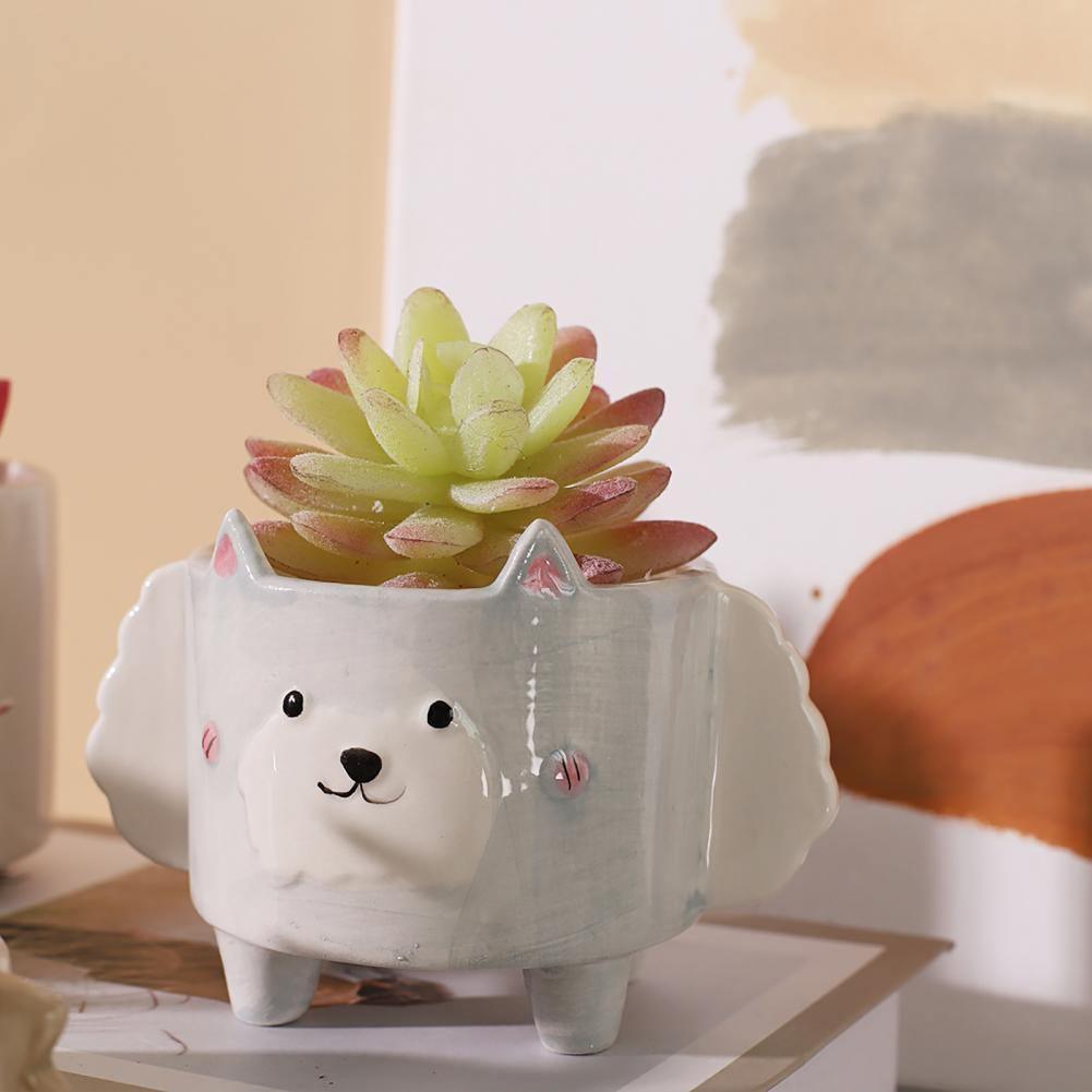 Square Animal Ceramic Succulent Planter Set