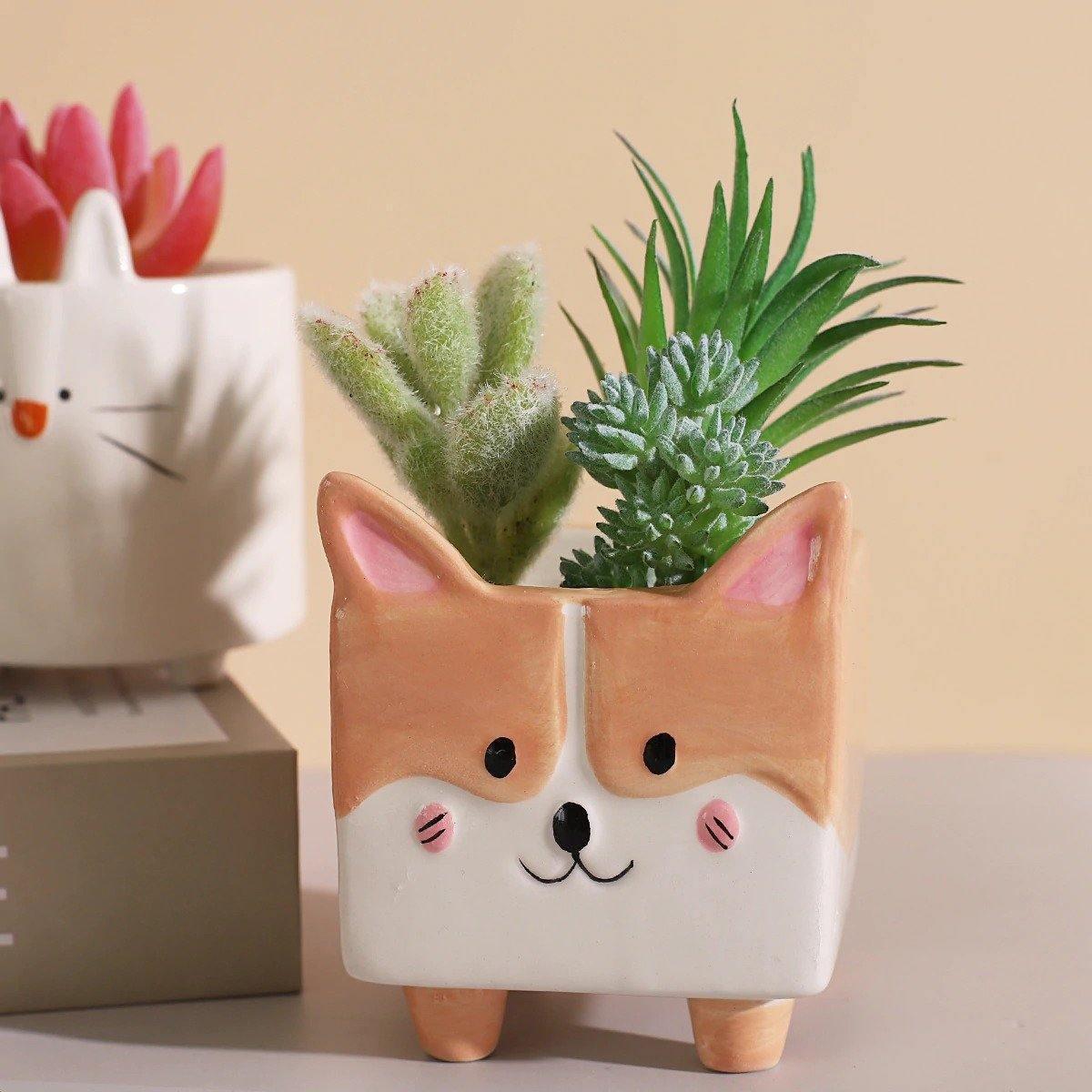 Square Animal Ceramic Succulent Planter Set