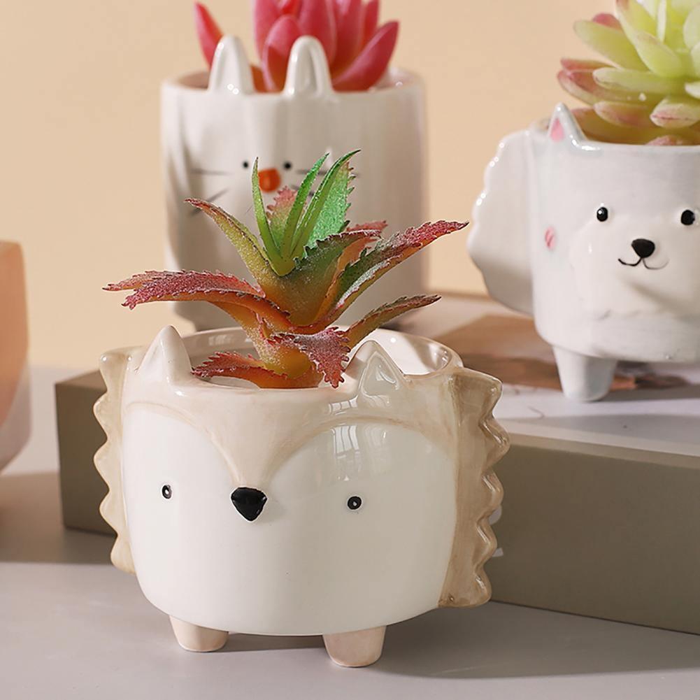 Square Animal Ceramic Succulent Planter Set