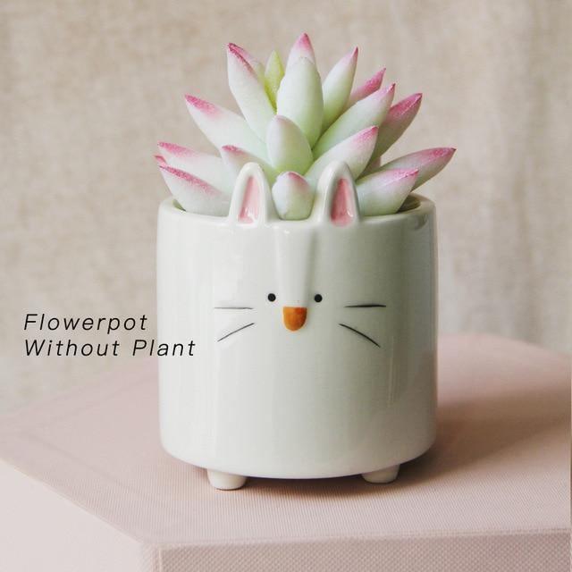 Square Animal Ceramic Succulent Planter Set