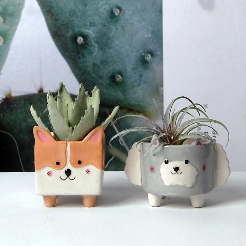 Square Animal Ceramic Succulent Planter Set