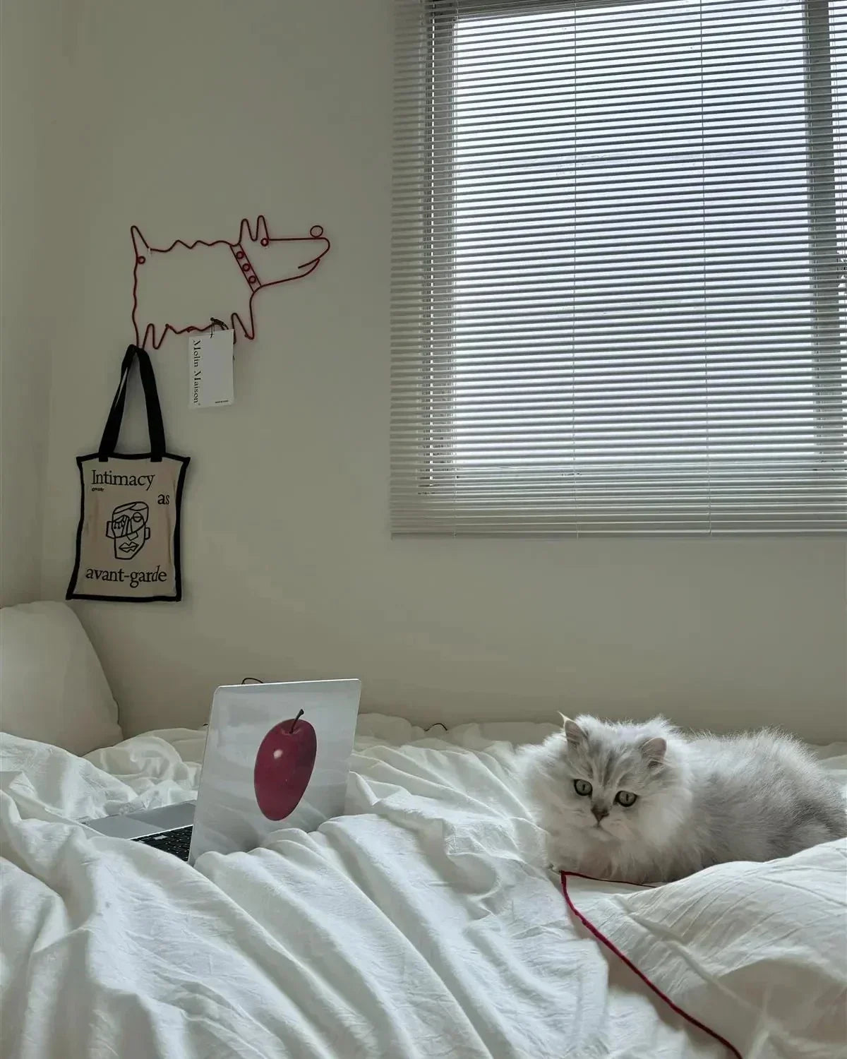 Animal Outline Wall Hook Rack