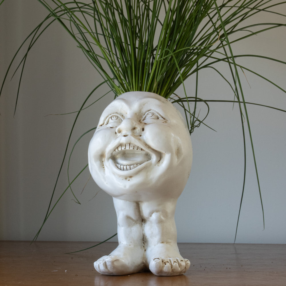 Face Head Planter Set