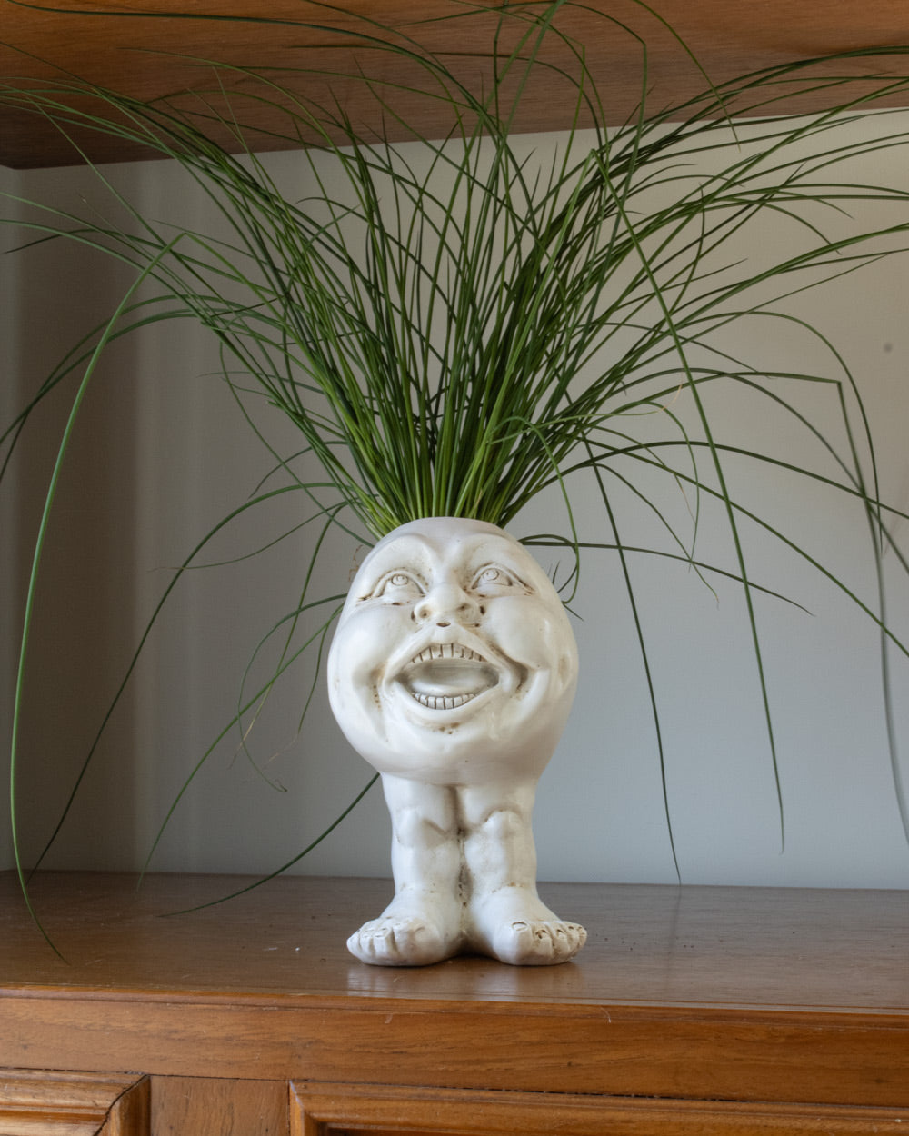 Face Head Planter Set