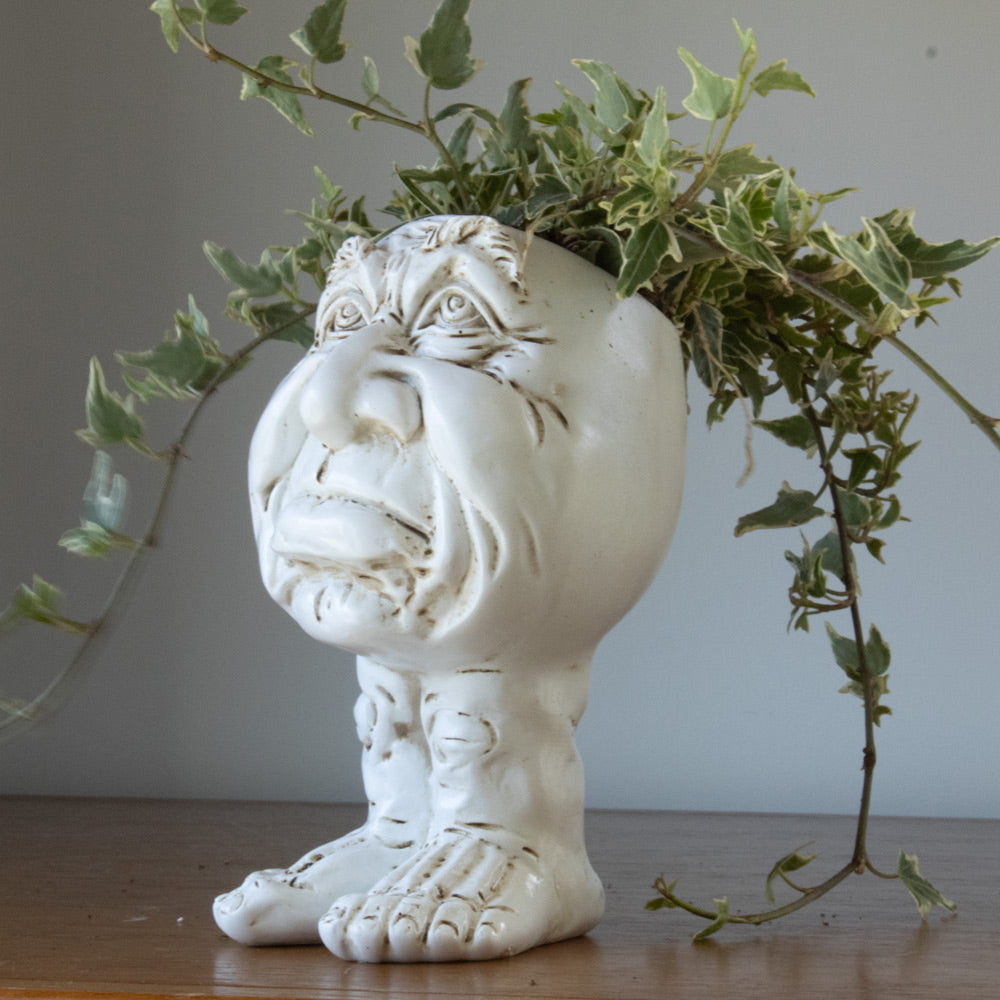 Face Head Planter Set