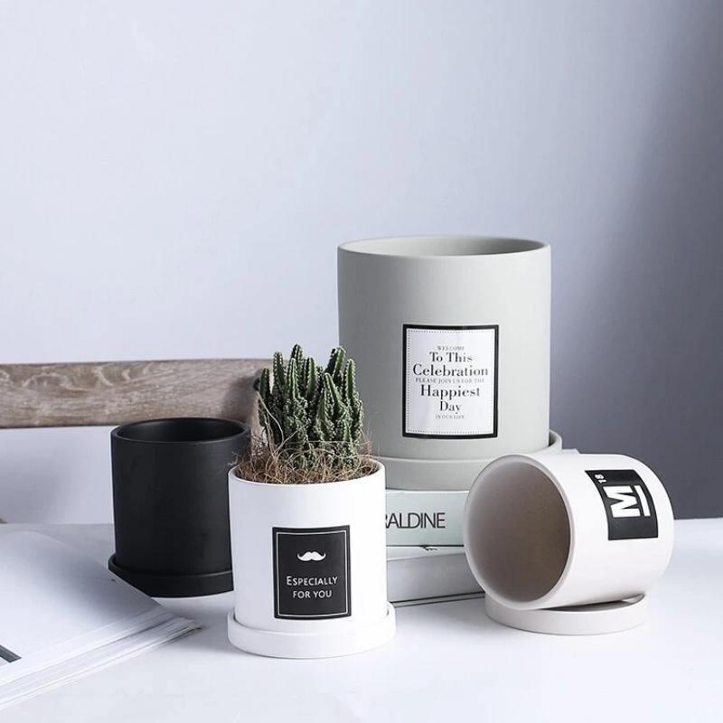 Minimal Concrete Planter Set