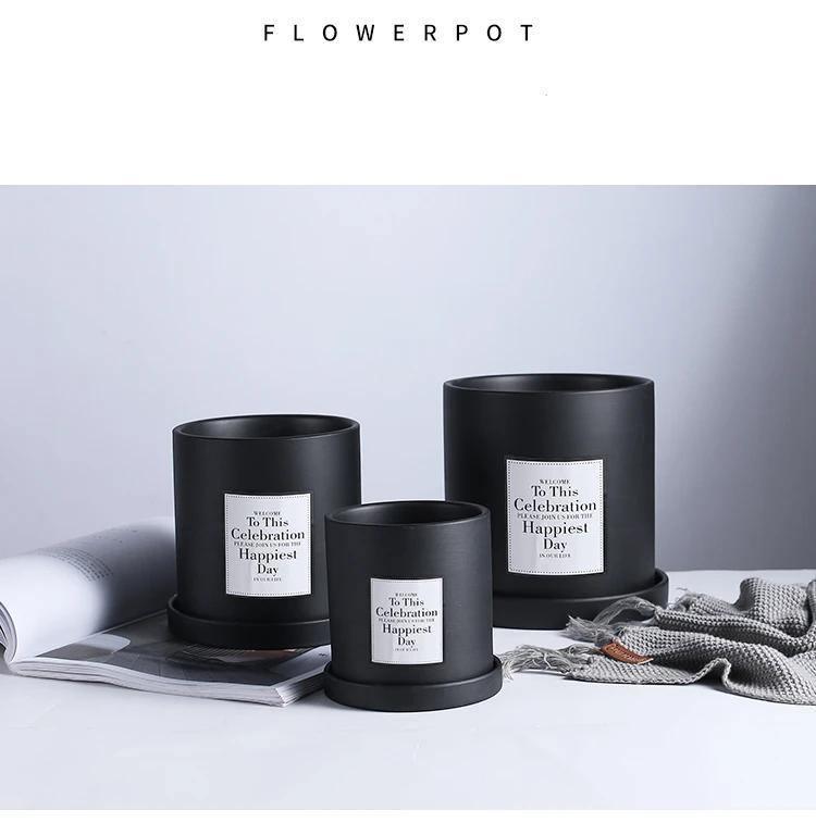 Minimal Concrete Planter Set