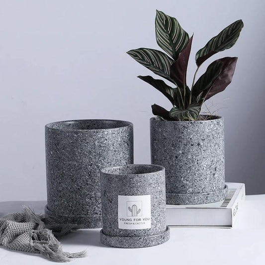 Minimal Concrete Planter Set