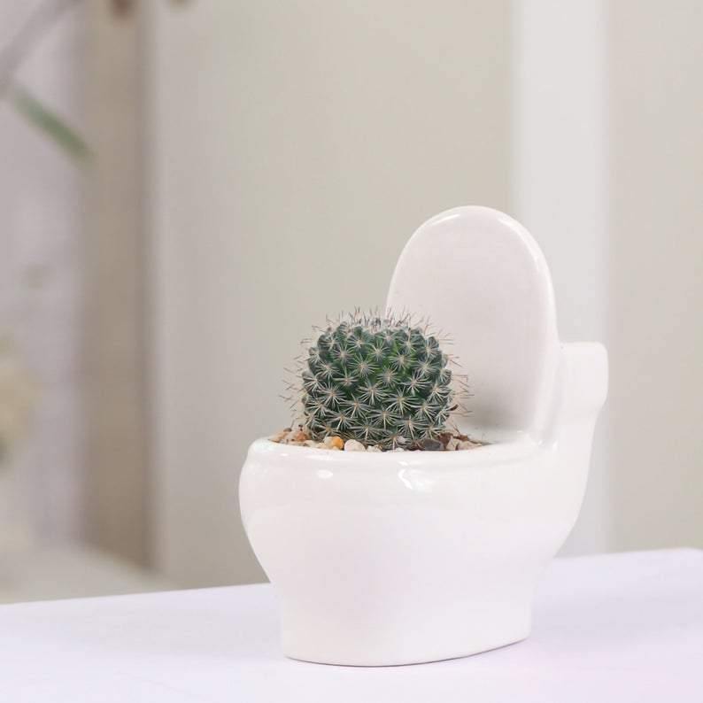 Handcrafted Clay Plant Holder Pot