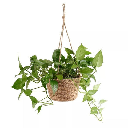 Woven Hanging Planter Basket