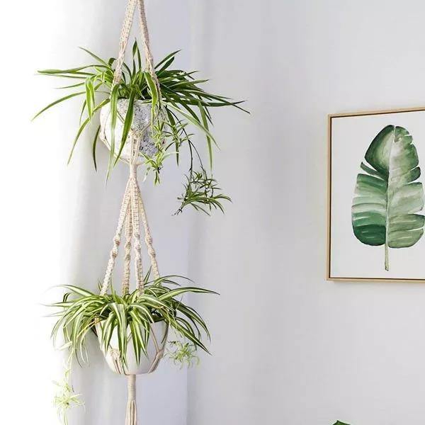 4-Piece Macrame Plant Hanger Set