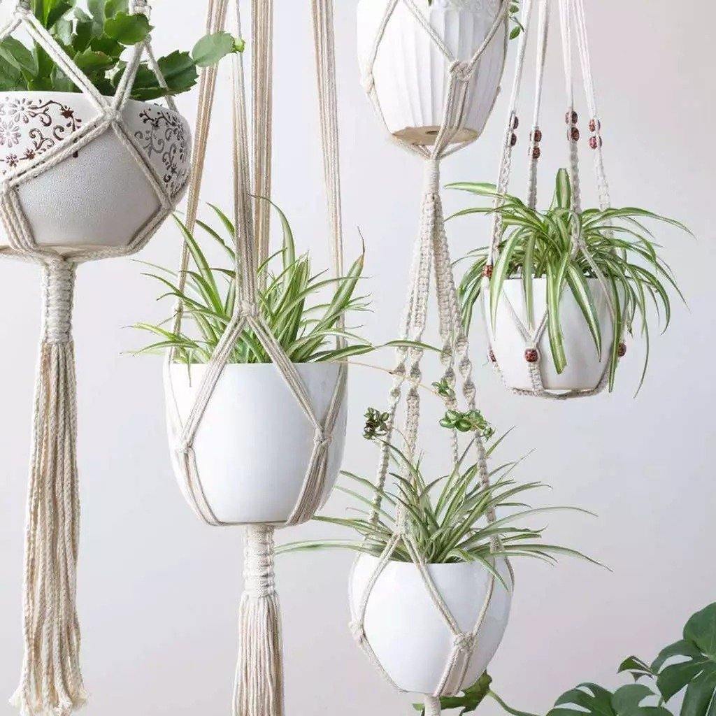 4-Piece Macrame Plant Hanger Set