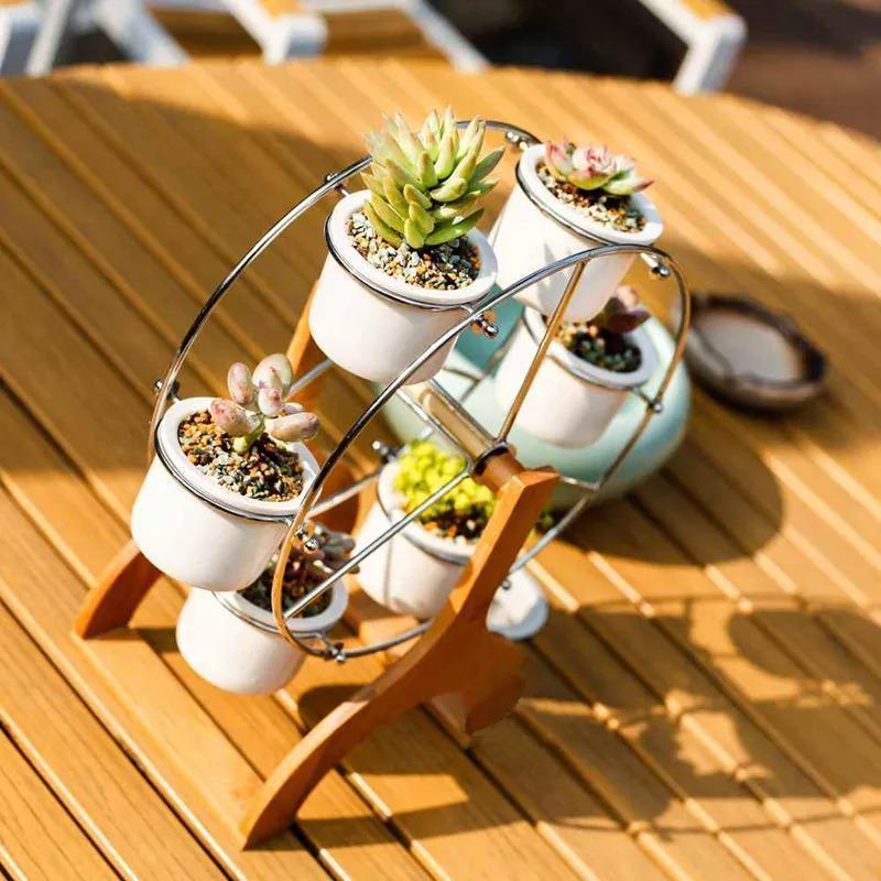 Wood Stand Succulent Planter Set