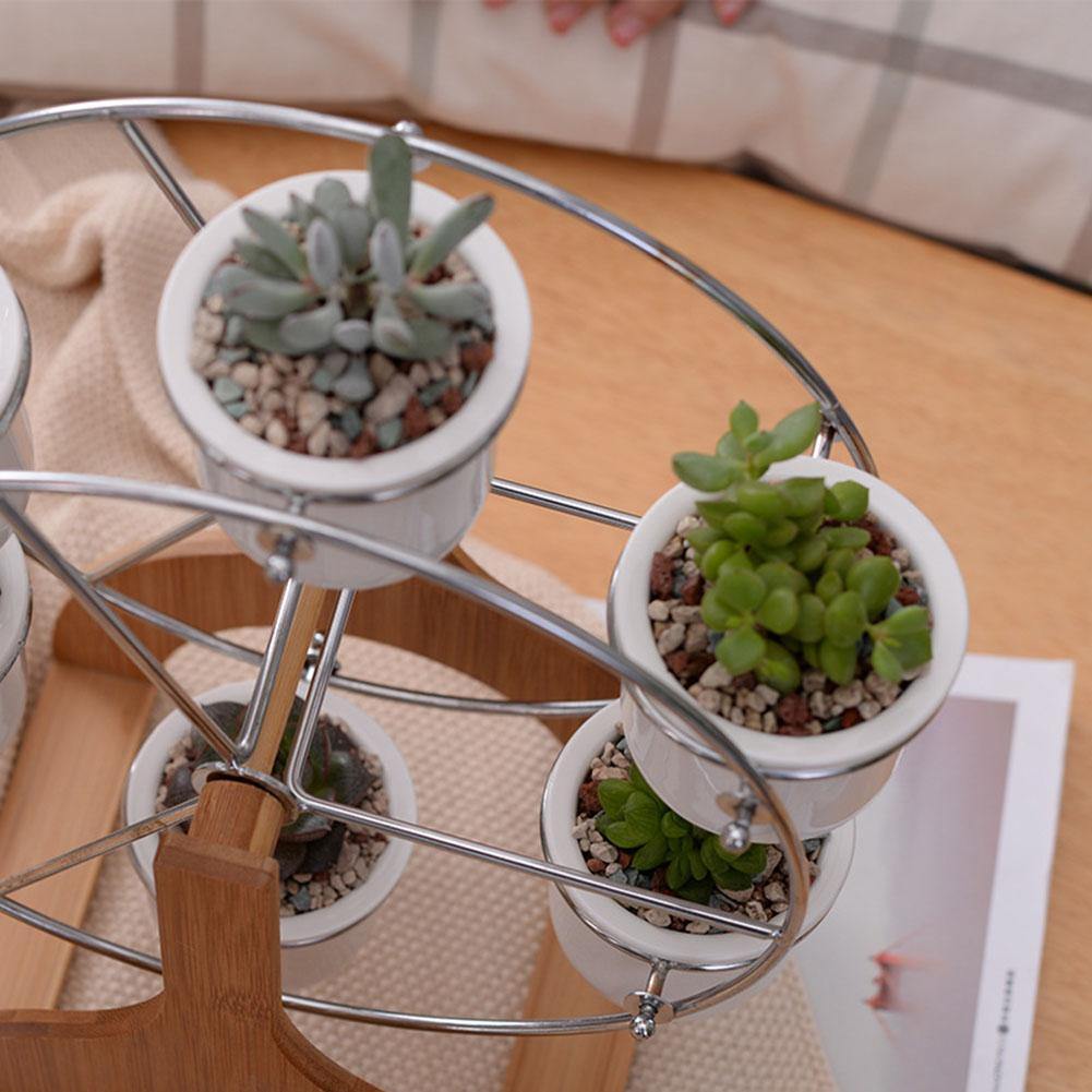 Wood Stand Succulent Planter Set