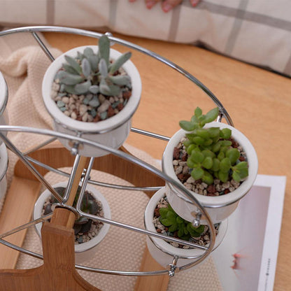 Wood Stand Succulent Planter Set