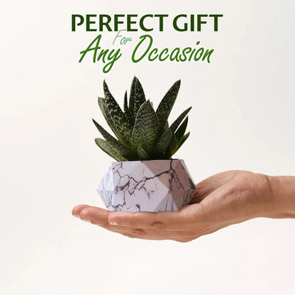Levitating Magnetic Plant Pot