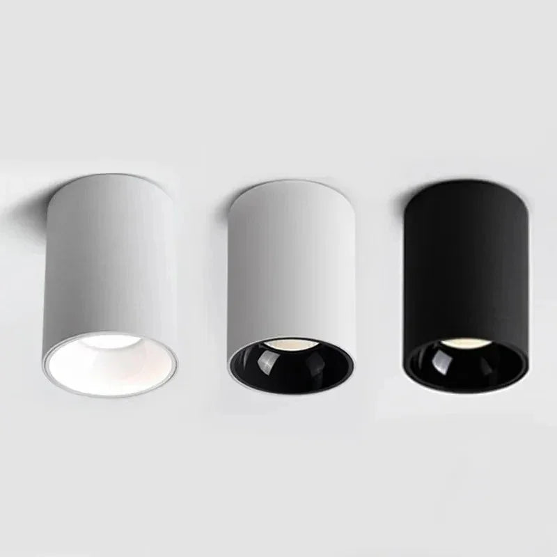 Black & White Cylindrical LED Surface-Mounted Downlight