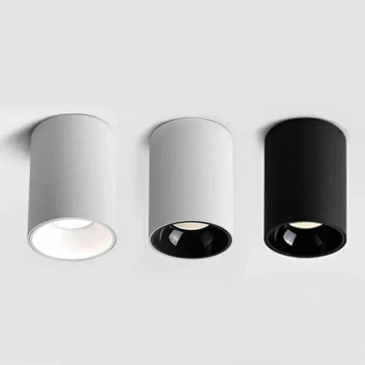 Black & White Cylindrical LED Surface-Mounted Downlight