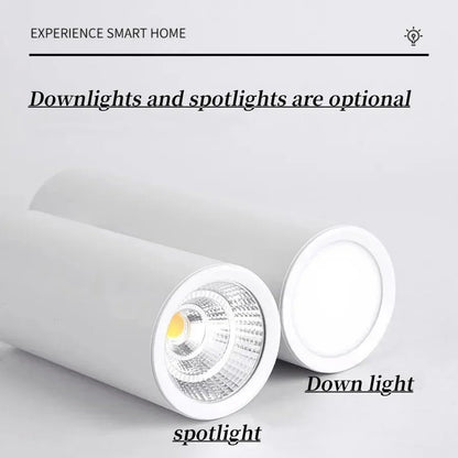 Minimal White LED Surface-Mounted Downlight