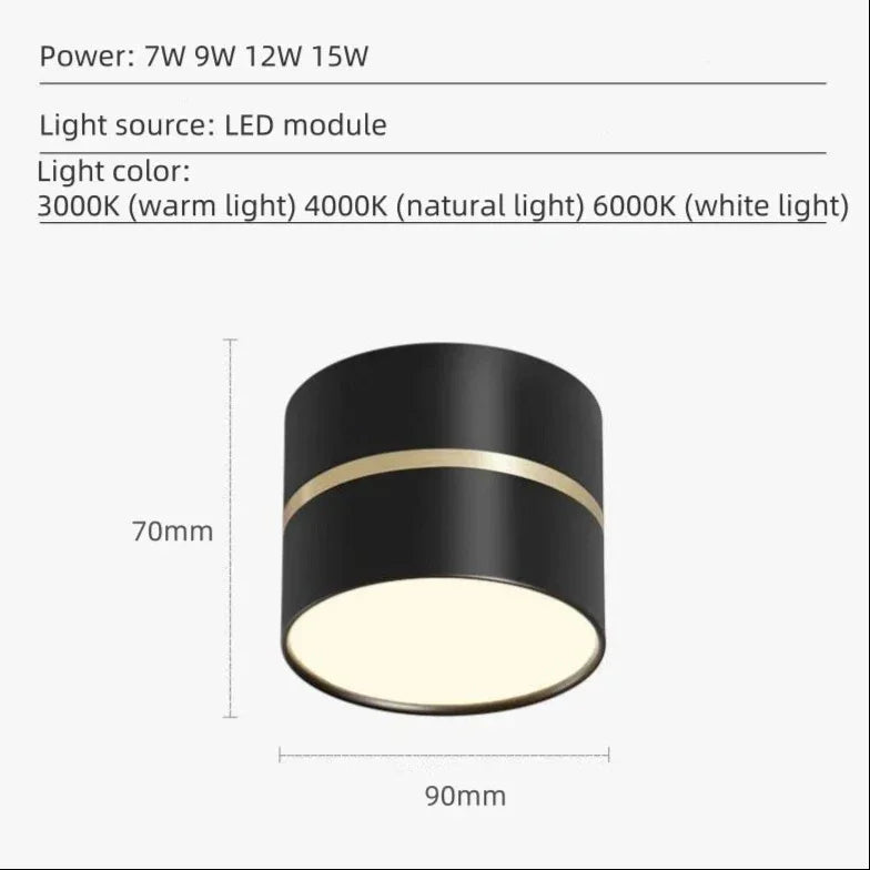 Minimal Dual-Tone LED Surface-Mounted Downlight
